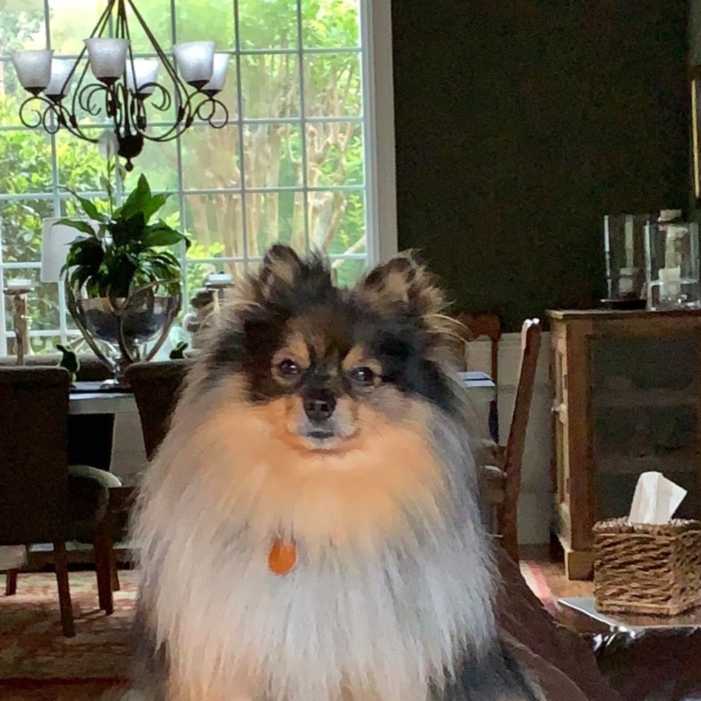 Meet your Posher, Stephania